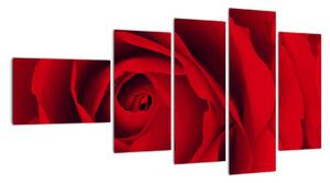 Detail červené růže - obraz (110x60cm)