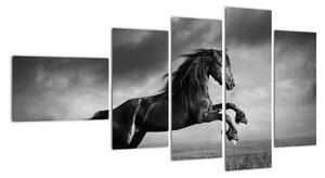 Obraz koně na stěnu (110x60cm)