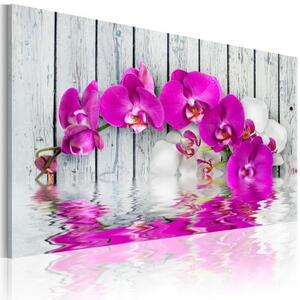 Obraz - harmonie: orchidea