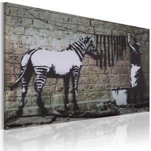 Obraz - Zebra washing (Banksy)