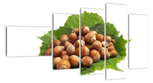 Lískové ořechy, obraz (110x60cm)