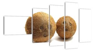 Kokosový ořech, obraz (110x60cm)