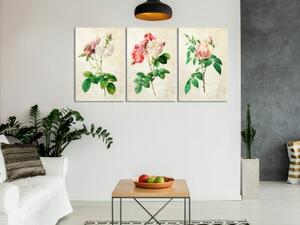 Obraz - Floral Trio (Collection)