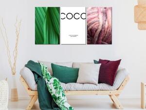 Obraz - Coco (Collection)