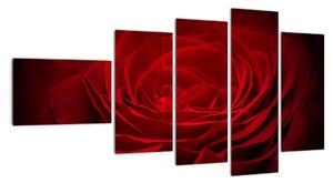 Makro růže - obraz (110x60cm)