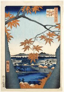 Obrazová reprodukce Maples leaves at Mama, Hiroshige Utagawa