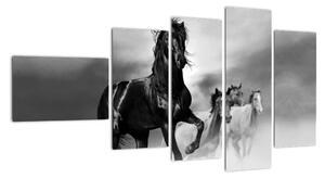 Černobílý obraz koňů (110x60cm)