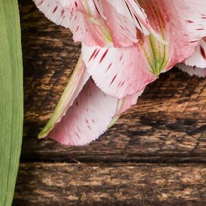 Malvis ® Tapeta dřevo s liliemi Vel. (šířka x výška): 144 x 105 cm