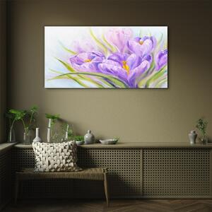 Obraz na skle Obraz na skle Květiny rostlin divoké zvěře