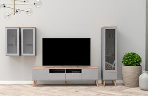 Matně šedý lakovaný TV stolek Tenzo Dot 192 x 43 cm
