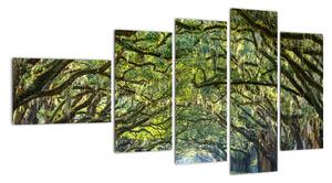 Aleje stromů - obraz (110x60cm)