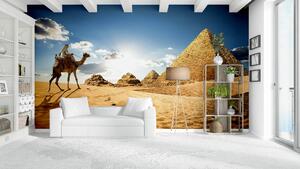 Malvis ® Tapeta Egypt pyramidy Vel. (šířka x výška): 288 x 200 cm