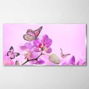 Obraz na skle Obraz na skle Květiny přírody motýl