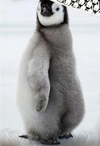 Bavlněné povlečení 140x200 + 70x90 cm - Malý tučňák