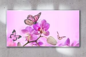 Obraz na skle Obraz na skle Květiny přírody motýl