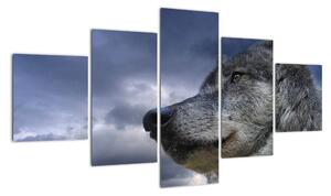 Obraz vlka (125x70cm)