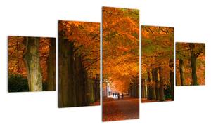 Obraz - cesty lesem na podzim (125x70cm)