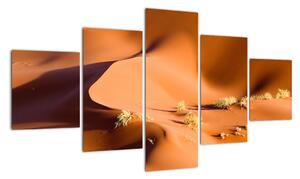 Obraz pouštích dun (125x70cm)