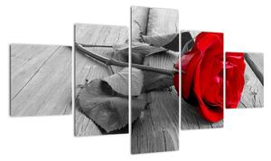 Obraz růže s červeným květem (125x70cm)