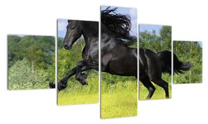 Obraz koně (125x70cm)