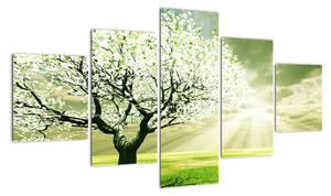 Jarní strom - moderní obraz (125x70cm)