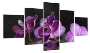 Obraz květů (125x70cm)