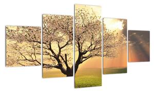 Obraz přírody - strom (125x70cm)