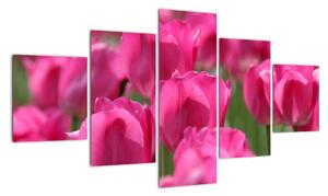 Obraz tulipánů (125x70cm)
