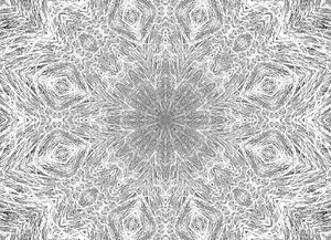 Malvis ® Tapeta Mandala šedá Vel. (šířka x výška): 288 x 200 cm