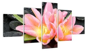 Obraz květů (125x70cm)