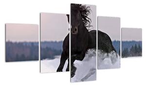 Obraz koně ve sněhu (125x70cm)