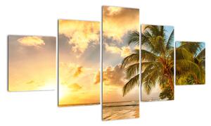 Obraz palmy na písečné pláži (125x70cm)