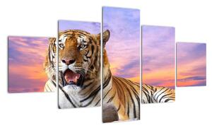 Obraz ležícího tygra (125x70cm)