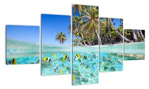 Obraz tropického moře (125x70cm)