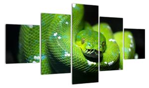 Obraz zvířat - had (125x70cm)