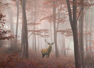 Malvis ® Tapeta Jelen v podzimním lese Vel. (šířka x výška): 144 x 105 cm