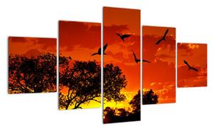 Obraz zapadajícího slunce s ptáky (125x70cm)