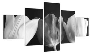 Černobílý obraz - tři tulipány (125x70cm)