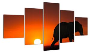 Obraz slona v zapadajícím slunci (125x70cm)