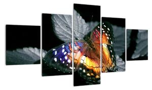 Motýl na listu - obraz (125x70cm)