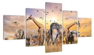 Obraz - safari (125x70cm)