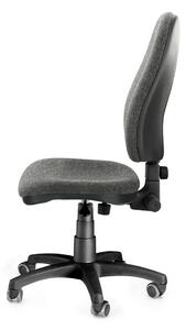 ALBA kancelářská židle Diana, Mechanika: S nastavením hloubky sezení, výšky a sklonu opěradla zad, Materiál: Látka odolnost 60 000 cyklů dle výběru