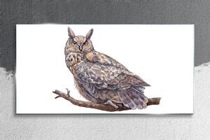 Obraz na skle Obraz na skle Malování zvířecí pták sova