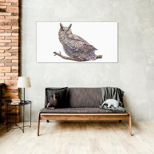 Obraz na skle Obraz na skle Malování zvířecí pták sova