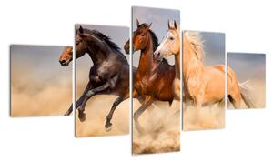 Moderní obraz koní (125x70cm)