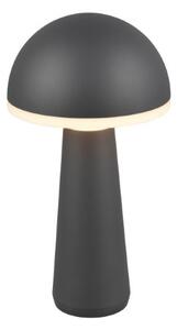 Trio Reality TR57716142 LED venkovní stolní svítidlo FUNGO | 2W integrovaný LED zdroj | 200lm | 3000+4000+5000K