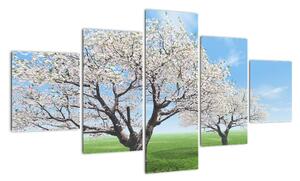 Obraz kvetoucího stromu na jarní louce (125x70cm)