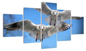 Obraz do bytu - ptáci (125x70cm)