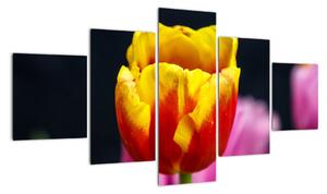 Obraz tulipánu (125x70cm)