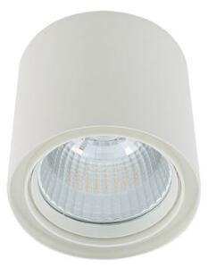 Italux 5900644409342 LED bodové stropní svítidlo Luna White | 40W integrovaný LED zdroj | 3800lm | 3000K
